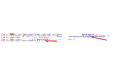 Assisted directory brute forcing